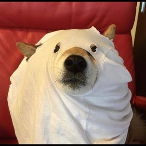 Meet your Posher, Jacob